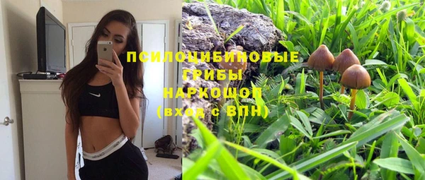 мет Абаза
