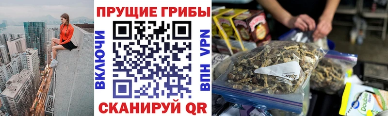 shop как зайти  Псков  Галлюциногенные грибы Psilocybine cubensis  blacksprut как войти 