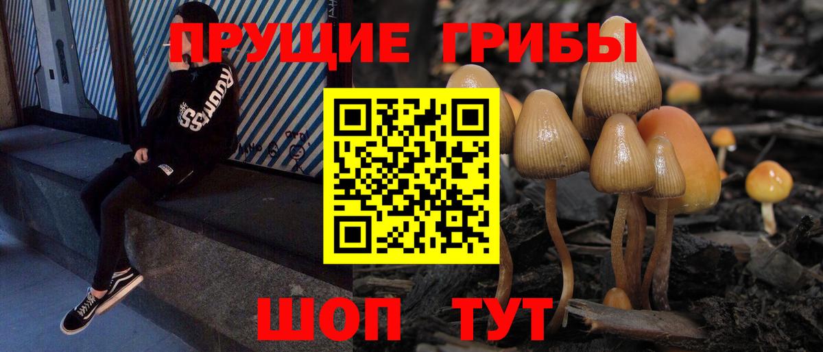 Псков  Псилоцибиновые грибы Cubensis  Вход с VPN 